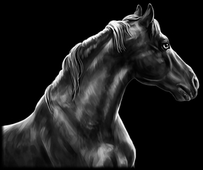 Лошадь - картинки для гравировки